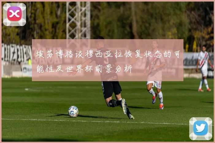 埃芬博格谈穆西亚拉恢复状态的可能性及世界杯前景分析