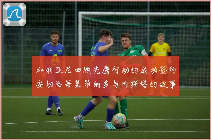 加利亚尼回顾秃鹰行动的成功签约安切洛蒂莱昂纳多与内斯塔的故事