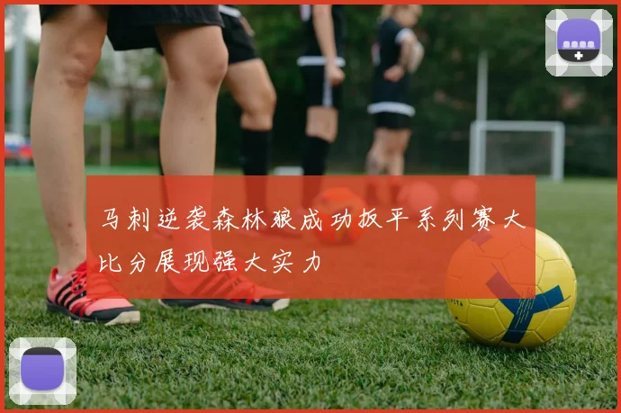 马刺逆袭森林狼成功扳平系列赛大比分展现强大实力