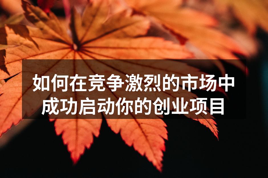 如何在竞争激烈的市场中成功启动你的创业项目
